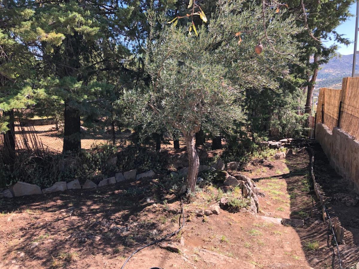 Casa Rural Los Olivos De Robledo De Chavela La Estacion Εξωτερικό φωτογραφία