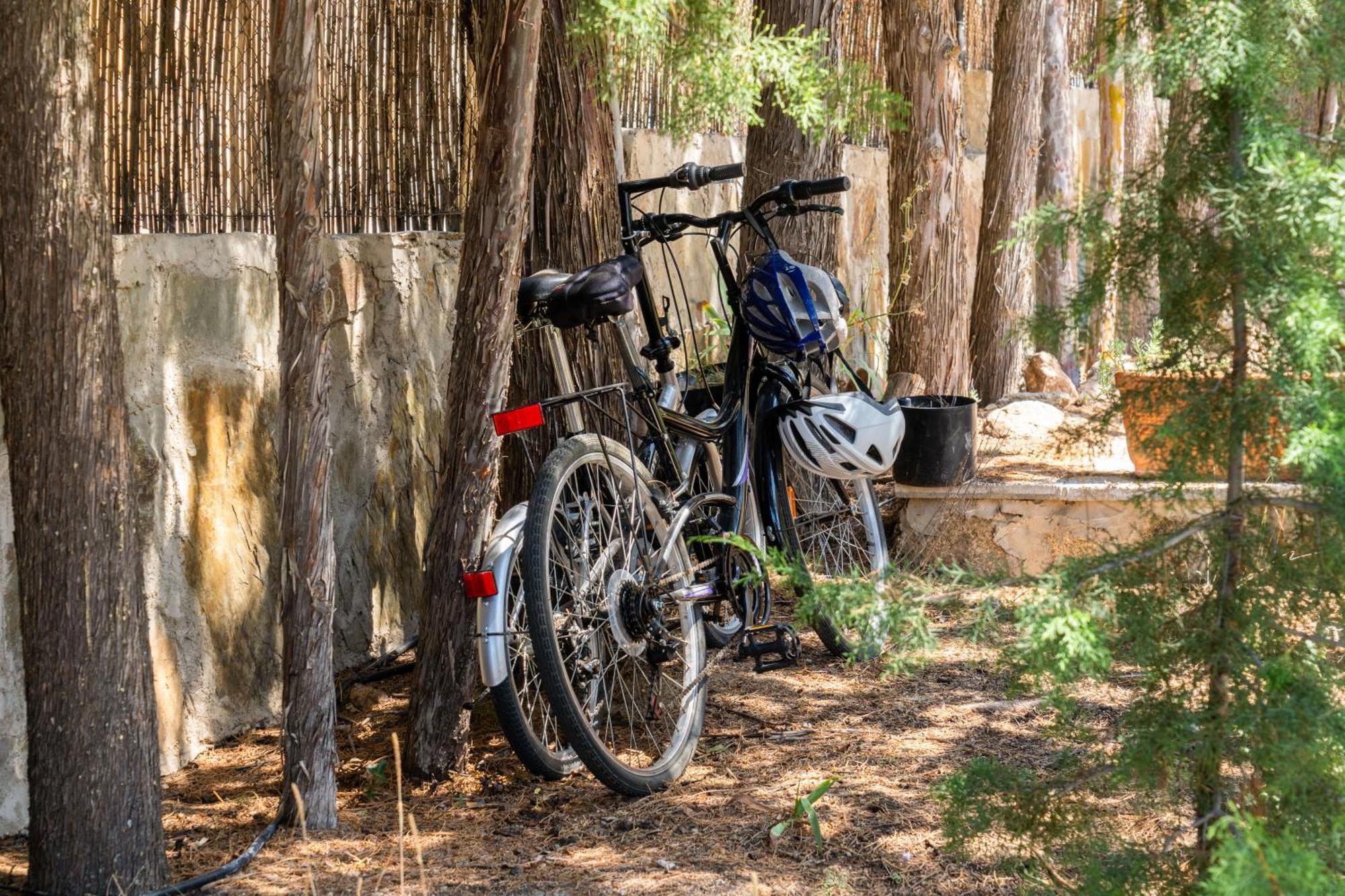 Casa Rural Los Olivos De Robledo De Chavela La Estacion Εξωτερικό φωτογραφία