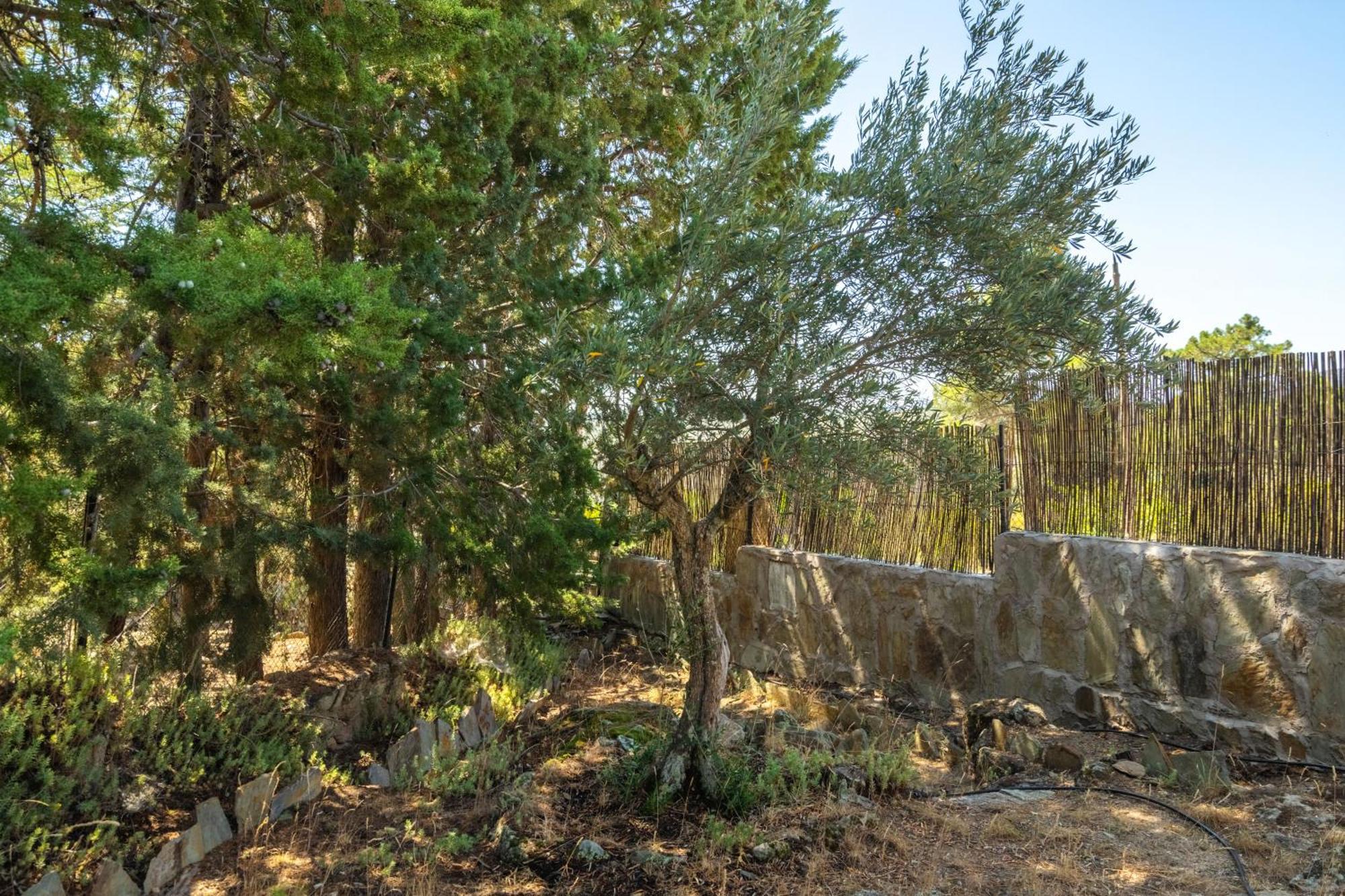 Casa Rural Los Olivos De Robledo De Chavela La Estacion Εξωτερικό φωτογραφία